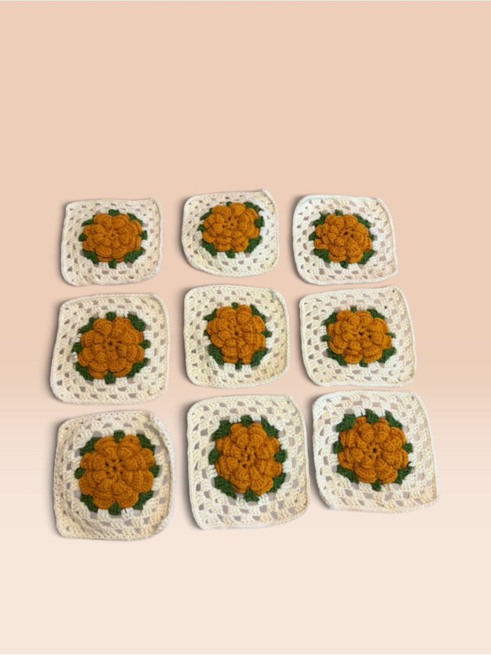 Set of 9 Handmade Crochet Flower Coasters set. Hot pot crochet trivets